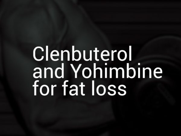 Clenbuterol and Yohimbine for fat loss