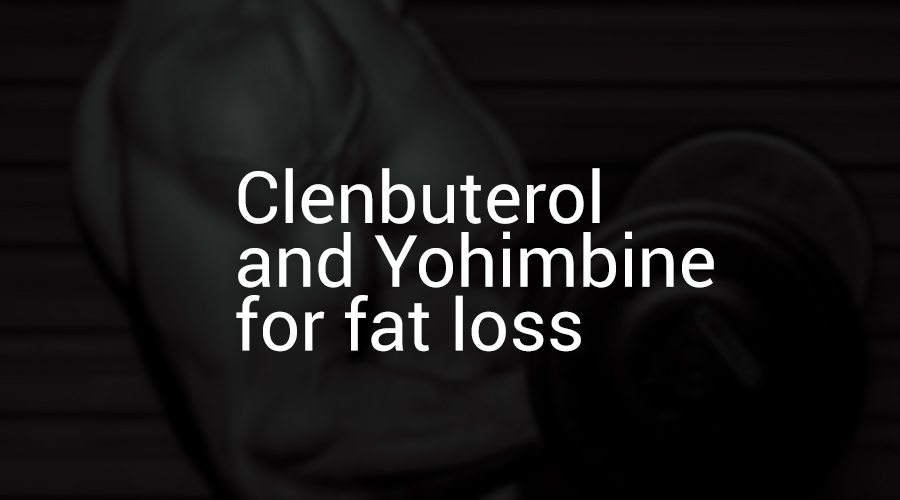 Clenbuterol and Yohimbine for fat loss
